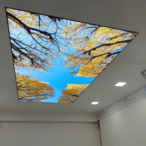 Stretched Ceiling